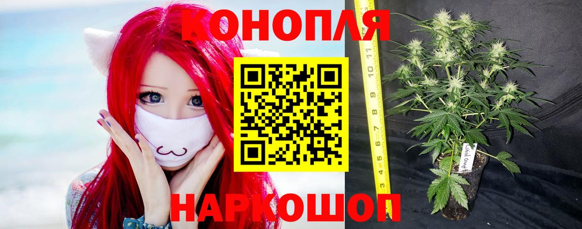 Конопля Bruce Banner  Бошки Шишки AK-47  Уссурийск  Каннабис Bruce Banner  Вход с VPN  Каннабис гибрид 